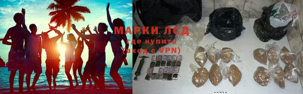 гашик Алексеевка