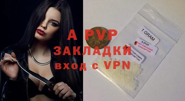 гашик Алексеевка