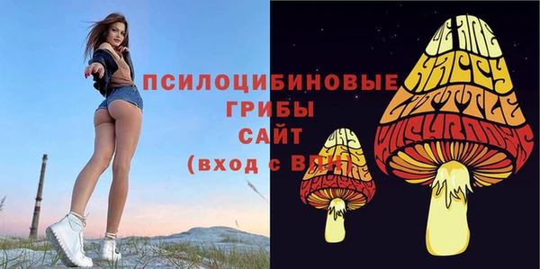 гашик Алексеевка